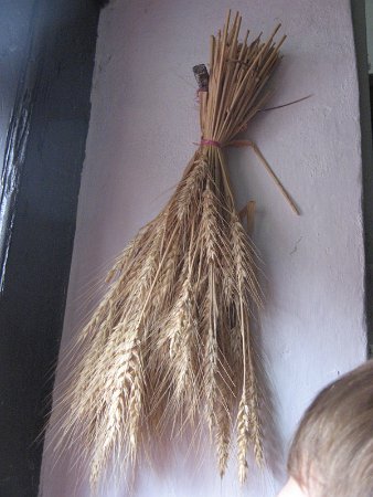 Szarvas 303